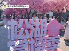 -东莞松山湖万象汇