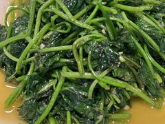 红薯藤-东四民芳餐厅(世茂工三店)