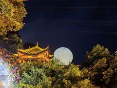 -巴倒烫陆派重庆火锅(南山店)