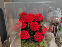 -ROSEONLY诺誓(广州K11店)