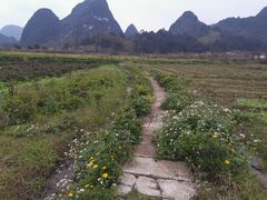 -靖西鹅泉风景区