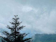 -神农架景区