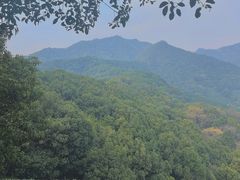 -龙坞茶村