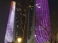 -南京国际博览中心酒店