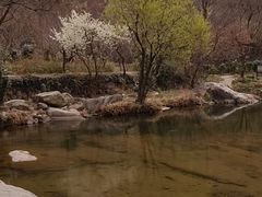 -武汉姚家山旅游景区