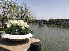 -上海鲜花港