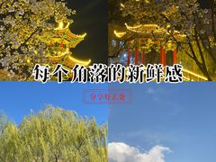 -保定理工学院(保定校区)