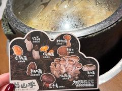 -芸山季·云南山珍菌火锅(人民广场来福士店)