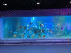 -梦幻海洋王国(吾悦广场张家港店)