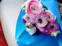 -双季花艺园艺市场(浦东店)