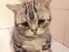 -萨莉亚意式餐厅(金隅嘉品mall店)