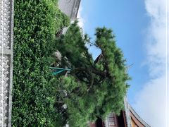-龙华寺