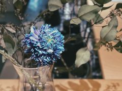 -Onirii Coffee(长乐路店)