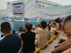 -北戴河圣蓝海洋公园