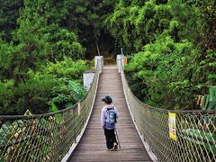 -铁山坪森林公园