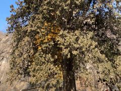 -天津盘山风景名胜区