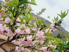 -北京十三陵国家森林公园蟒山景区