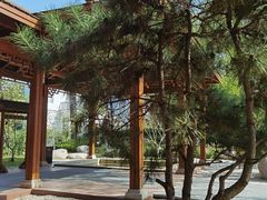 -思念果岭悦温泉