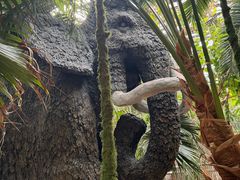 -呀路古热带植物园