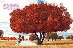 -施华洛婚纱摄影会所(范阳中路店)