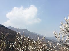 -北京鹫峰国家森林公园