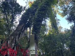 -七仙岭温泉国家森林公园