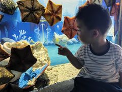 -芜湖新华联大白鲸海洋公园