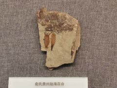 -贵州省地质博物馆