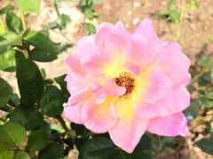 -人民公园(罗湖区)