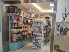 -北京观赏动物医院·24小时大型综合·猫专科·异宠专科