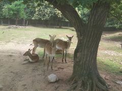 -西安秦岭野生动物园