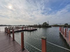 -芒洲湿地公园