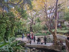 -香港大学