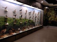 -下渚湖国家湿地公园科普馆