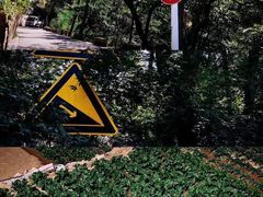 -崂山九水游览区