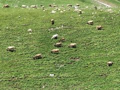 -新疆那拉提国家旅游度假区