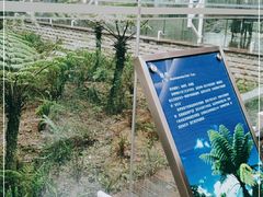 -金沙遗址博物馆