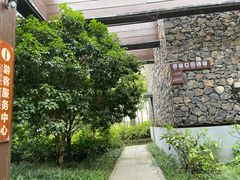 -长田漾湿地公园