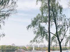 -黄兴公园