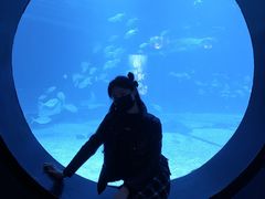 -烟台海昌鲸鲨海洋公园