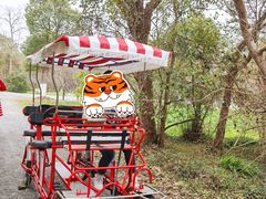 -上海海湾国家森林公园