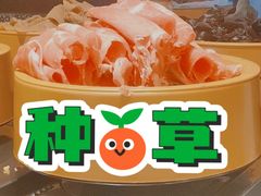 -龍歌自助小火锅(市北台东利群店)