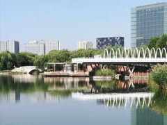 -大兴滨河森林公园