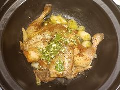 -春茗熙