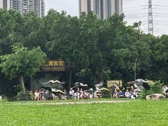 -广州长隆飞鸟乐园