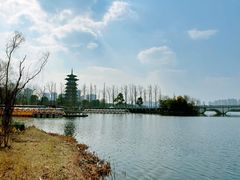 -洋湖国家湿地公园