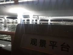 -演武大桥观景平台