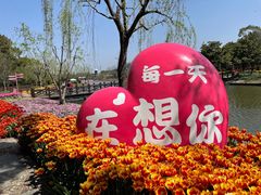 -上海鲜花港