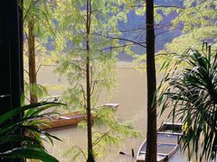 -深圳仙湖植物园