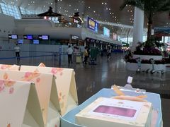 -苏小糖(T4航站楼店)
